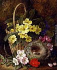 George Clare Still Life with Primroses, Violas, cherry Blossom and Geraniums and a Thrush's Nest painting